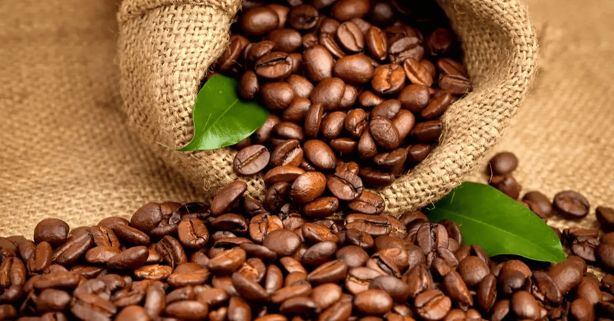 image Espresso